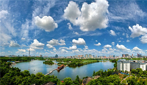 垃圾養(yǎng)殖環(huán)保治理